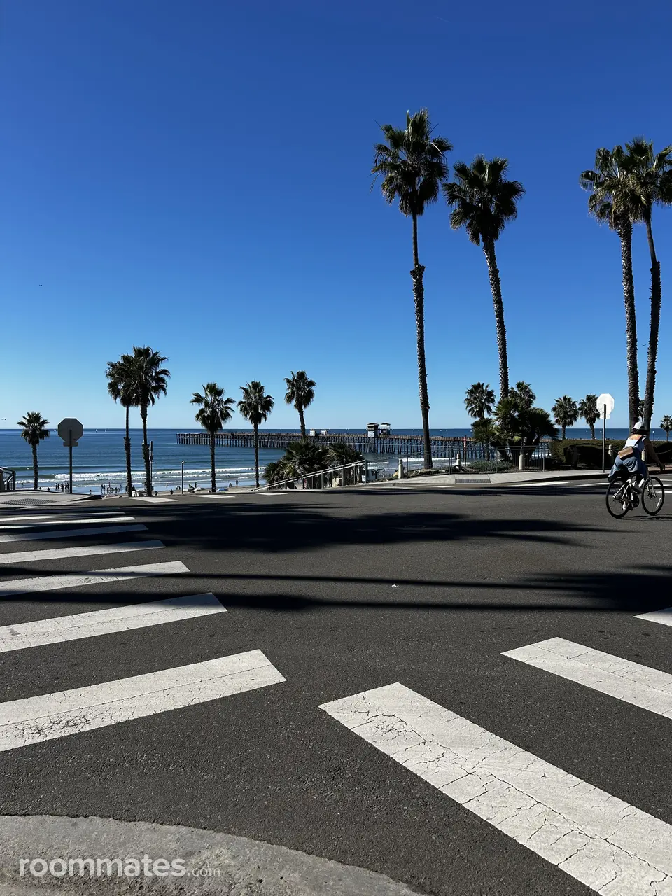 Profile photo 4 of 11