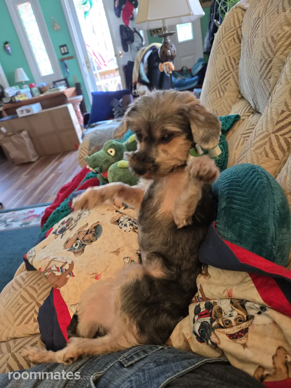 Profile photo 2 of 2