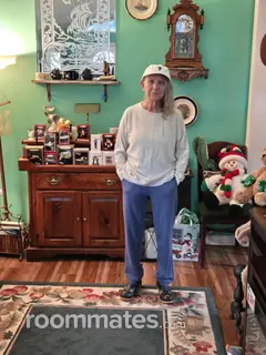 Roommate looking Bonita Springs, FL, $1500