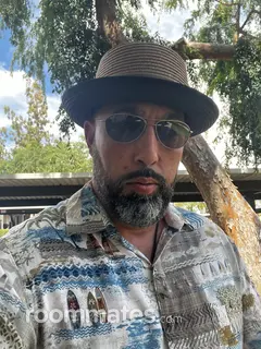 Roommate looking Phoenix, AZ, $1000