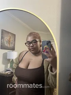 Roommate looking New Orleans LA, $700