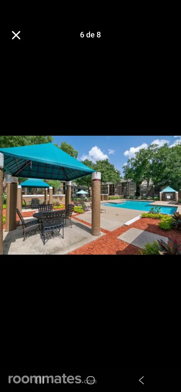 Profile photo 9 of 11