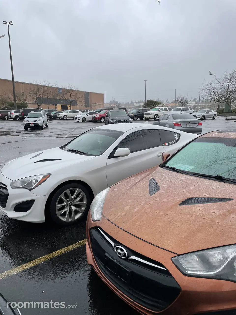 Profile photo 11 of 11