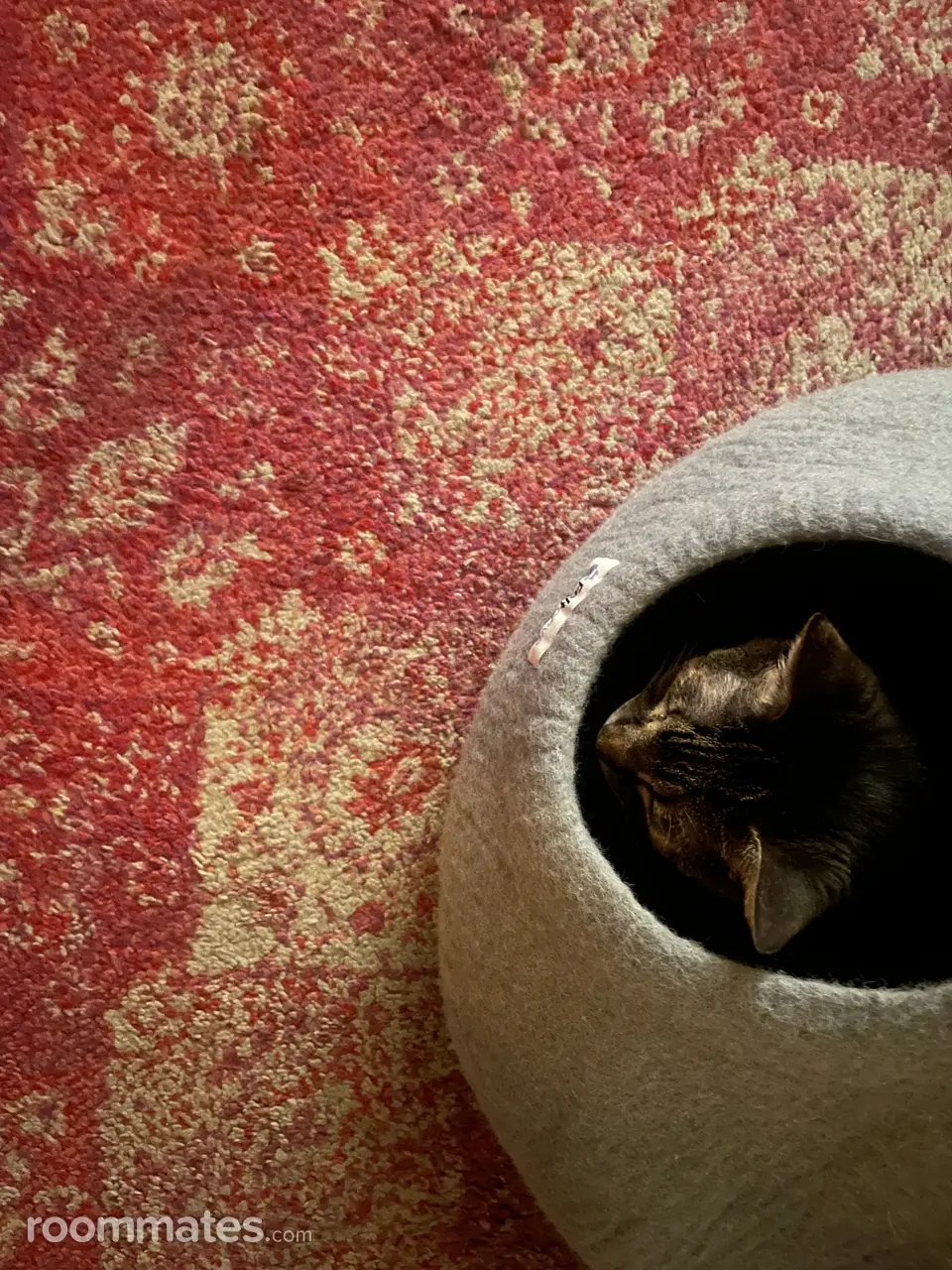 Profile photo 2 of 3