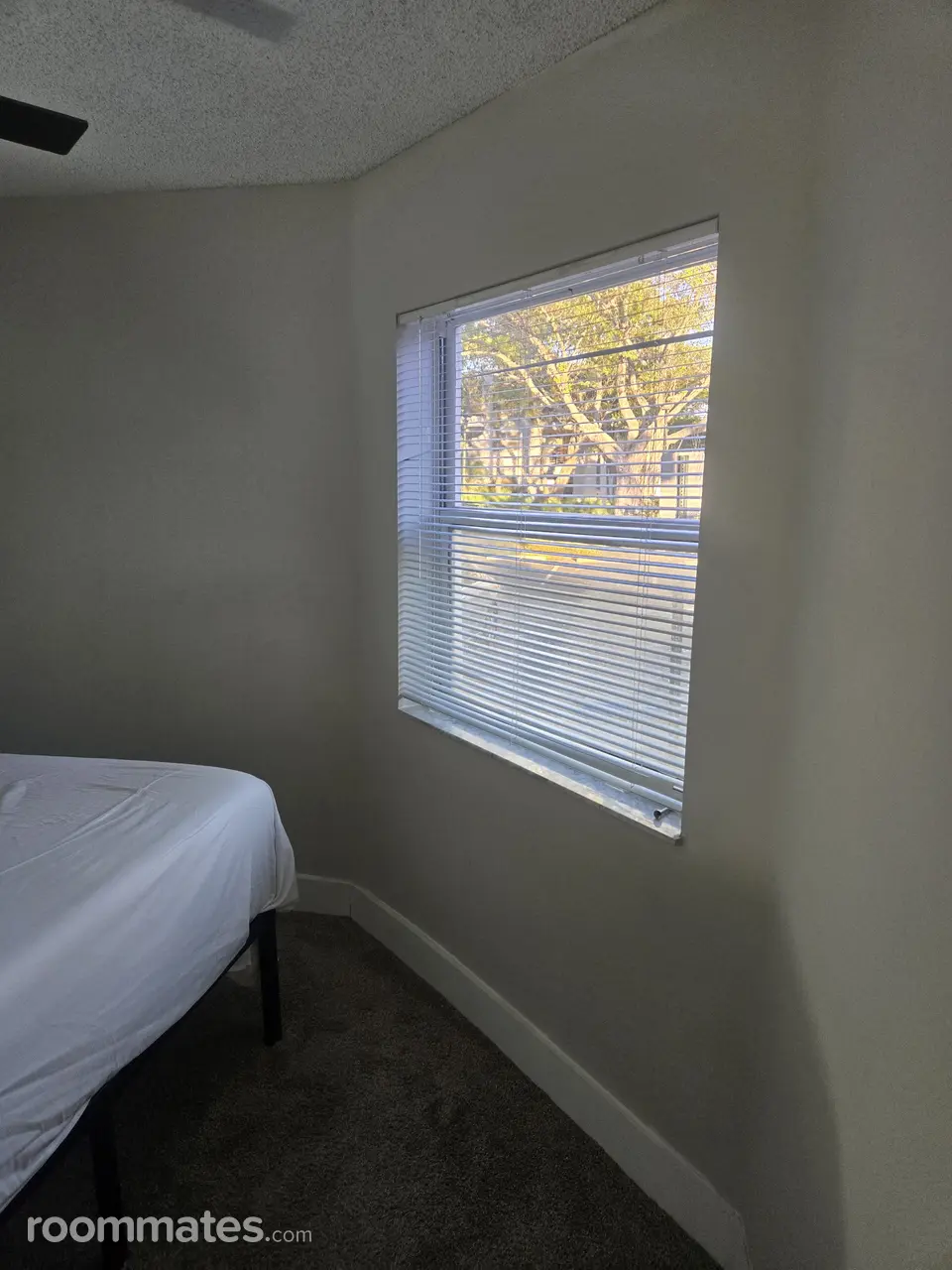 Profile photo 18 of 21