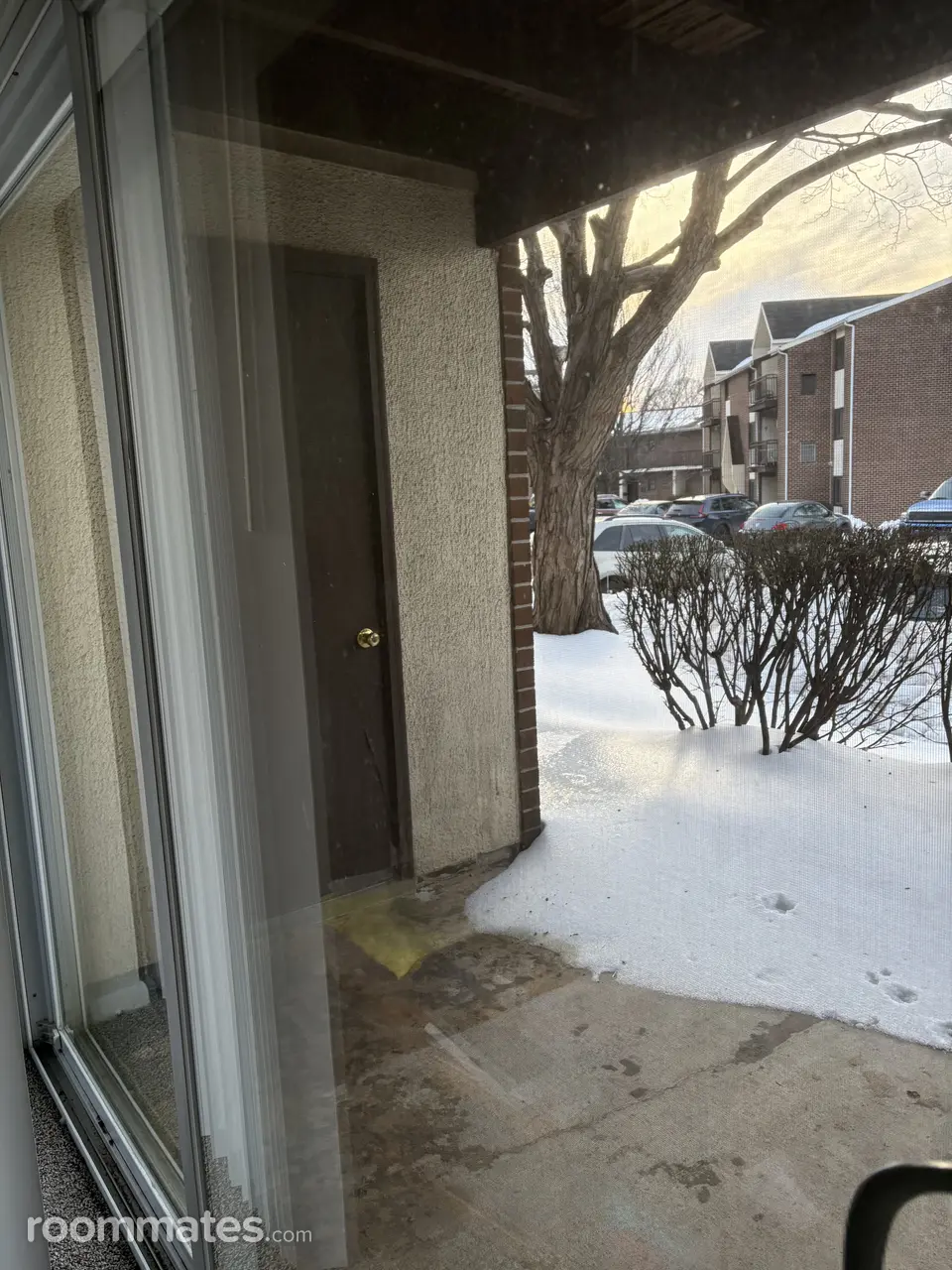 Profile photo 8 of 12