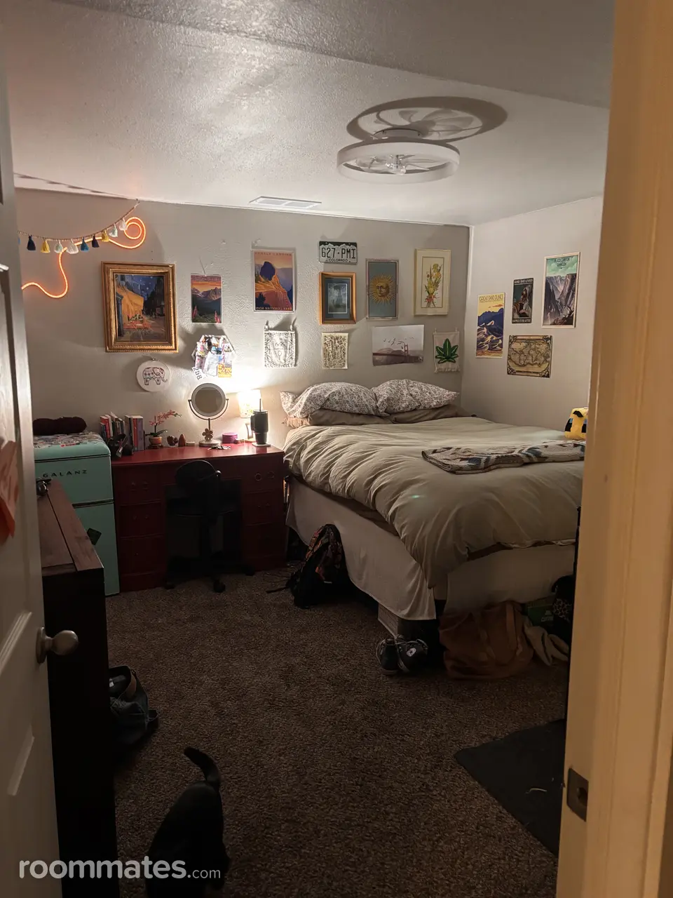 Profile photo 3 of 6