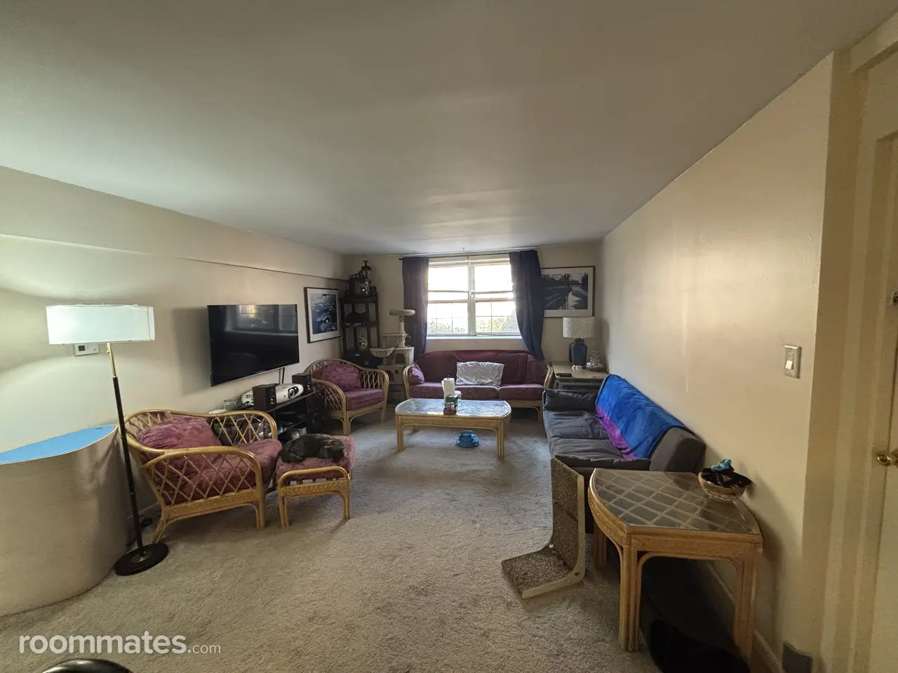 Profile photo 2 of 6