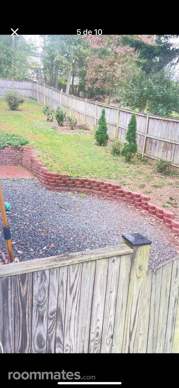 Profile photo 7 of 8