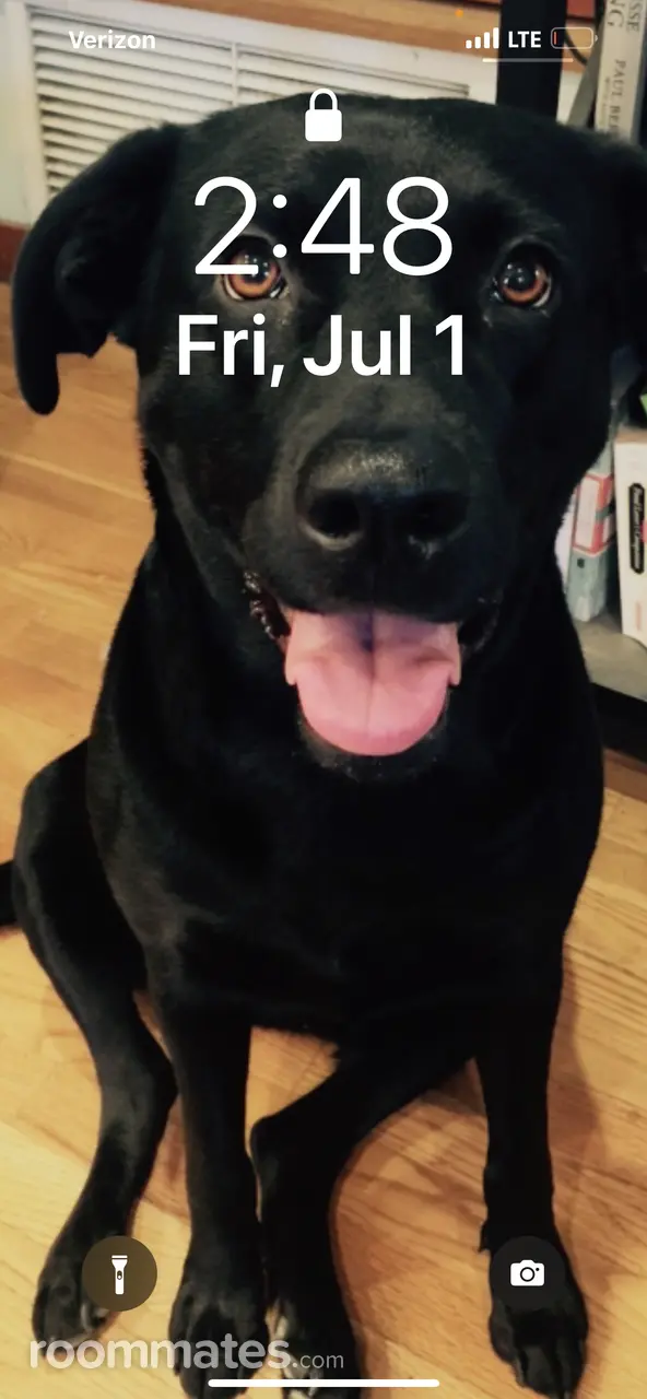 Profile photo 6 of 6