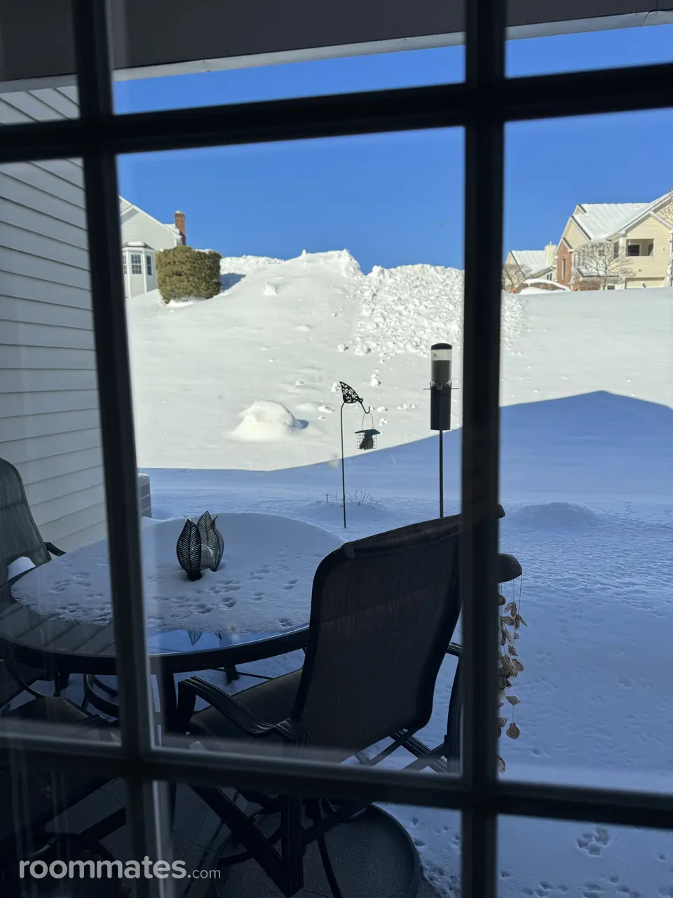 Profile photo 5 of 11