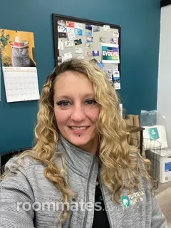 Roommate looking Sarasota, FL, $800