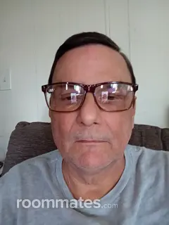 Roommate looking Warren, MI, $600