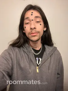 Roommate looking Henderson, NV, $1200