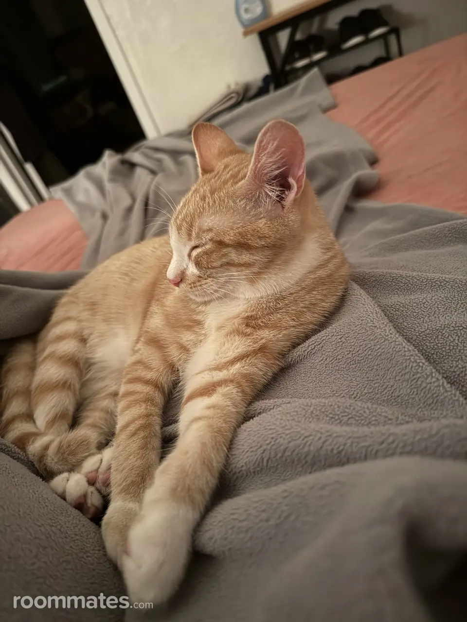 Profile photo 3 of 3