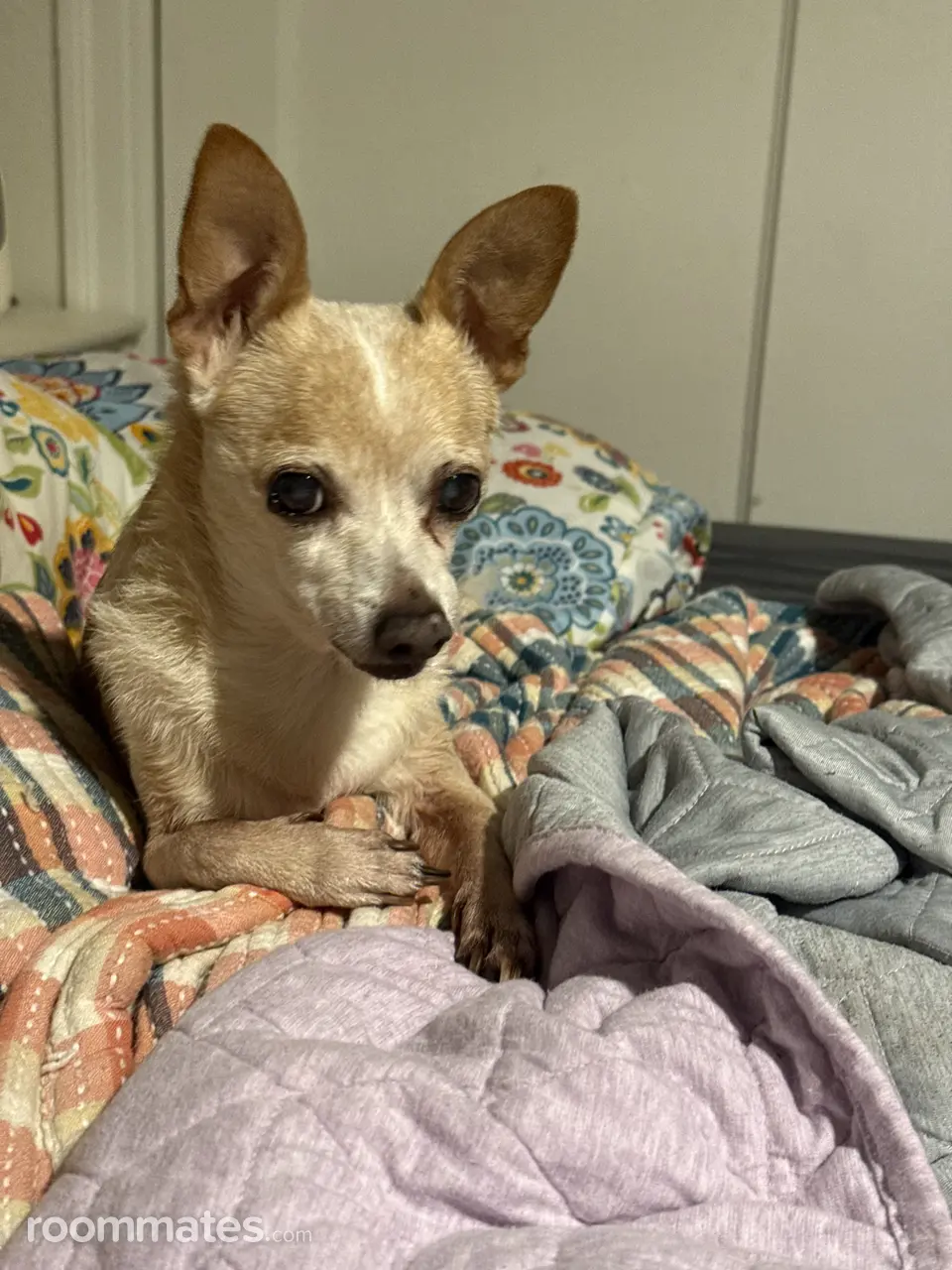 Profile photo 2 of 3