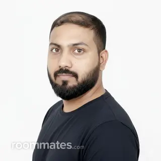 Roommate looking Dearborn Heights MI, $400