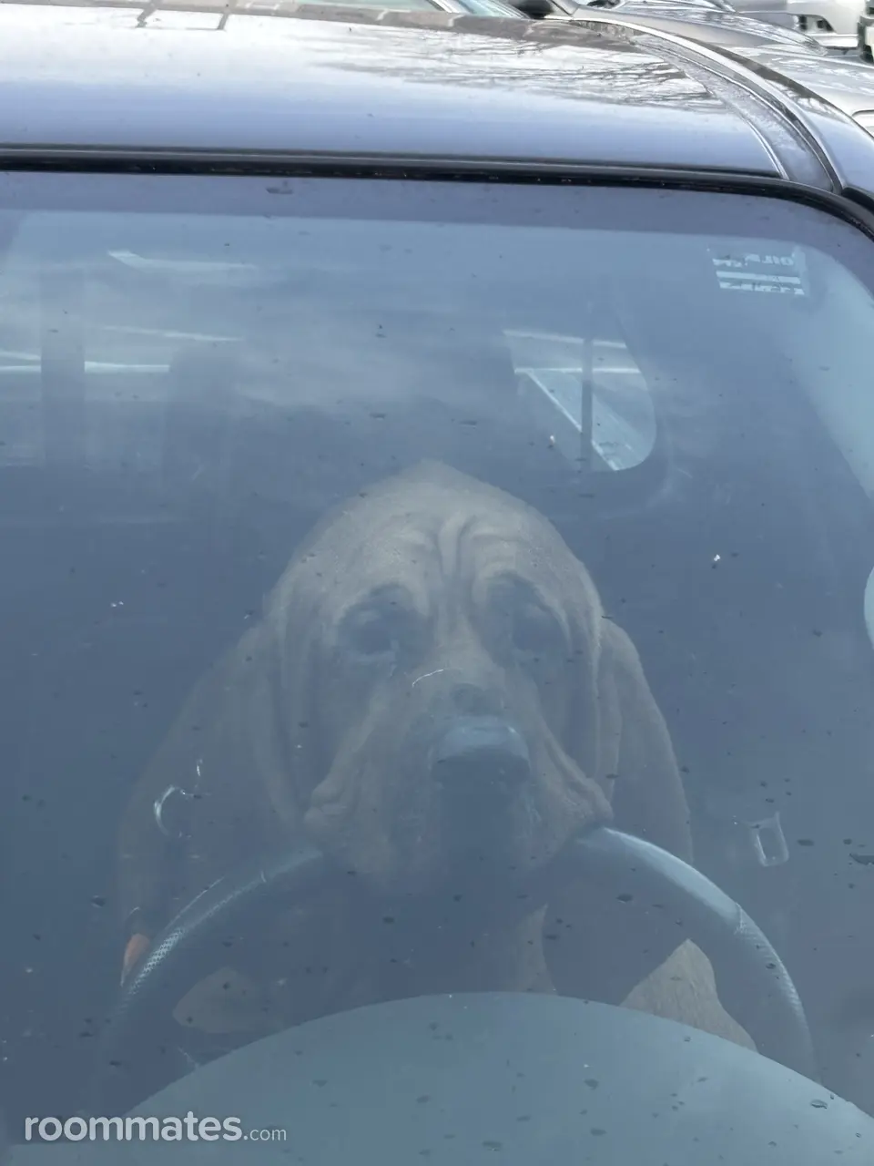 Profile photo 11 of 20