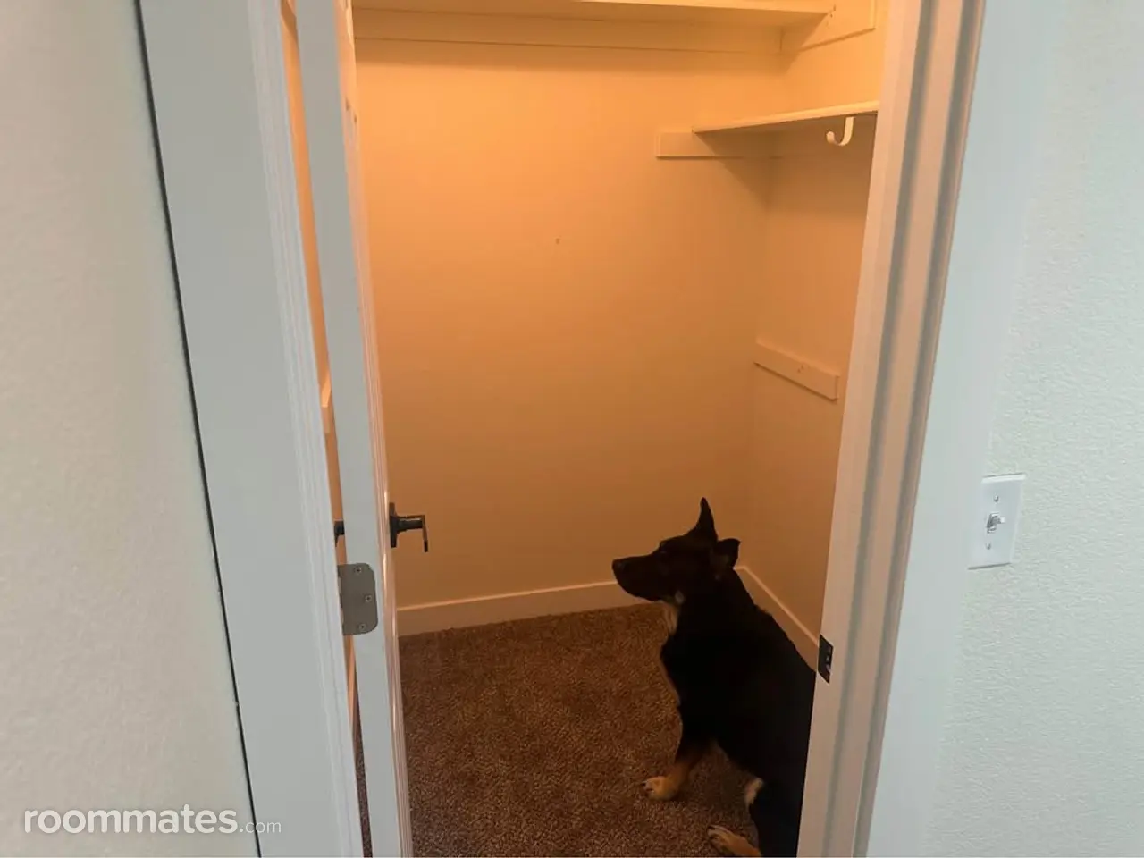 Profile photo 2 of 11