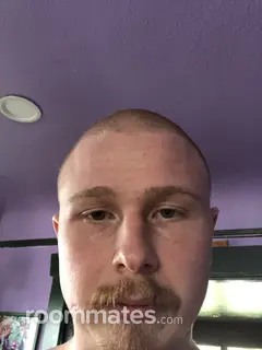 Roommate looking Tacoma, WA, $800