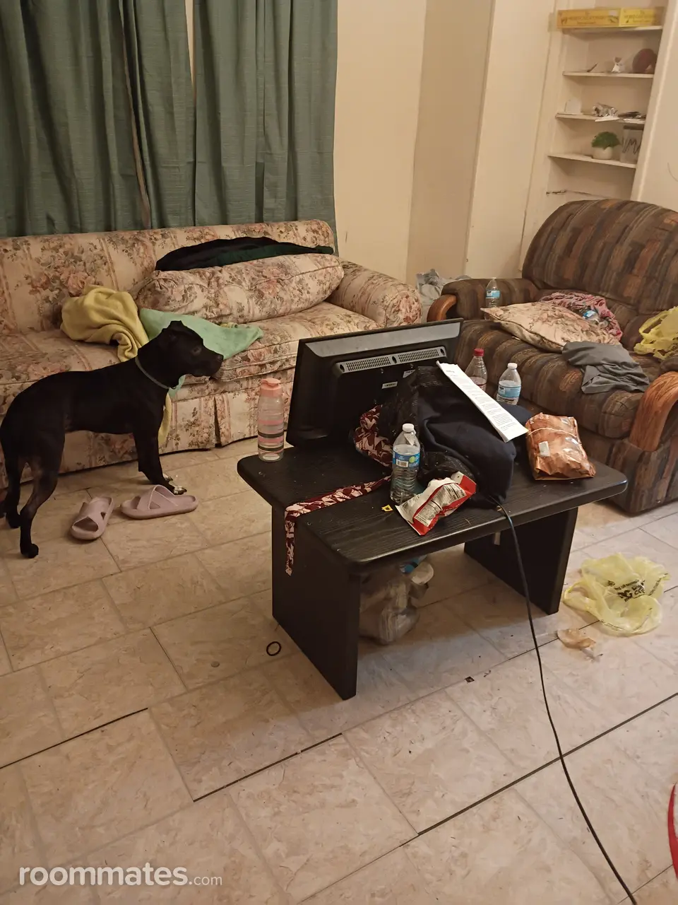 Profile photo 3 of 6