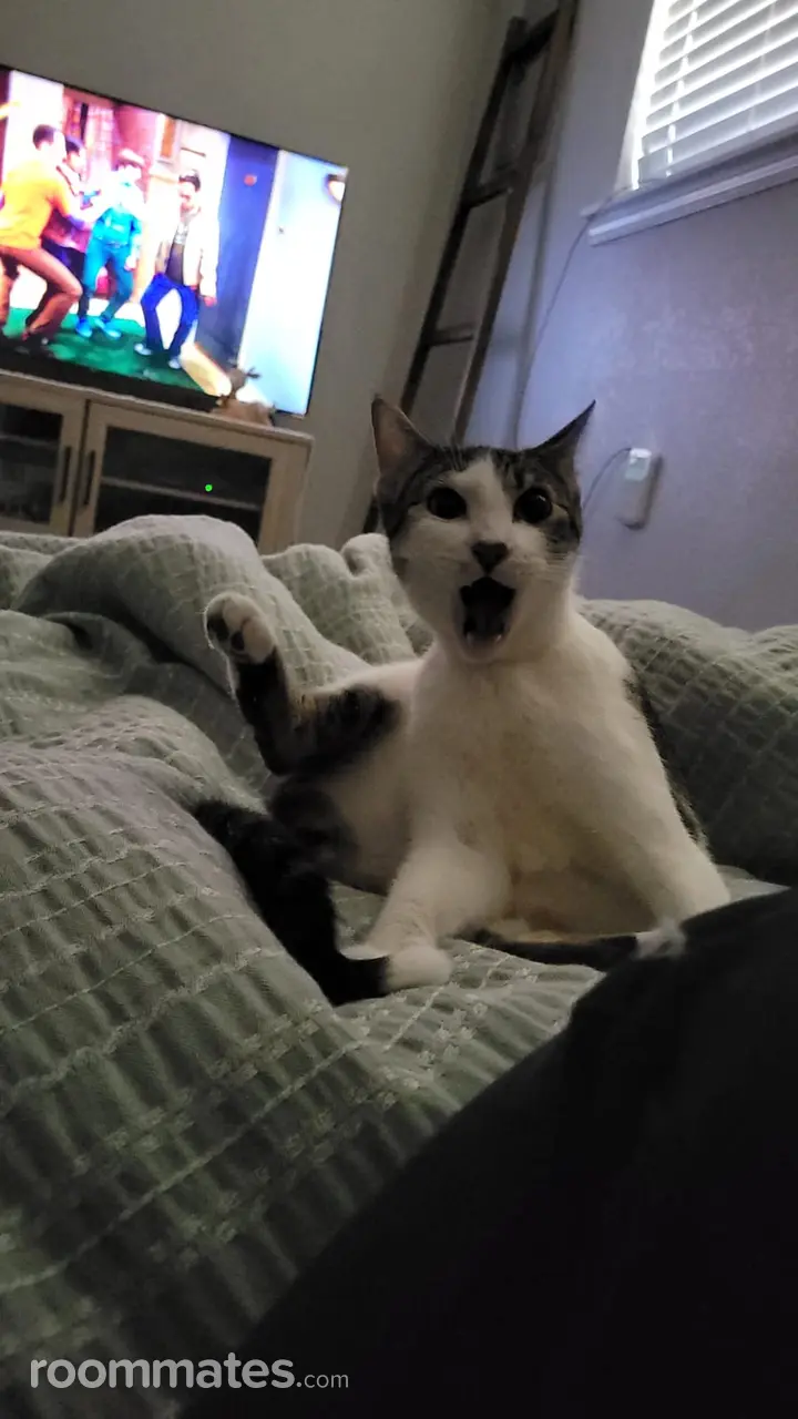 Profile photo 1 of 1