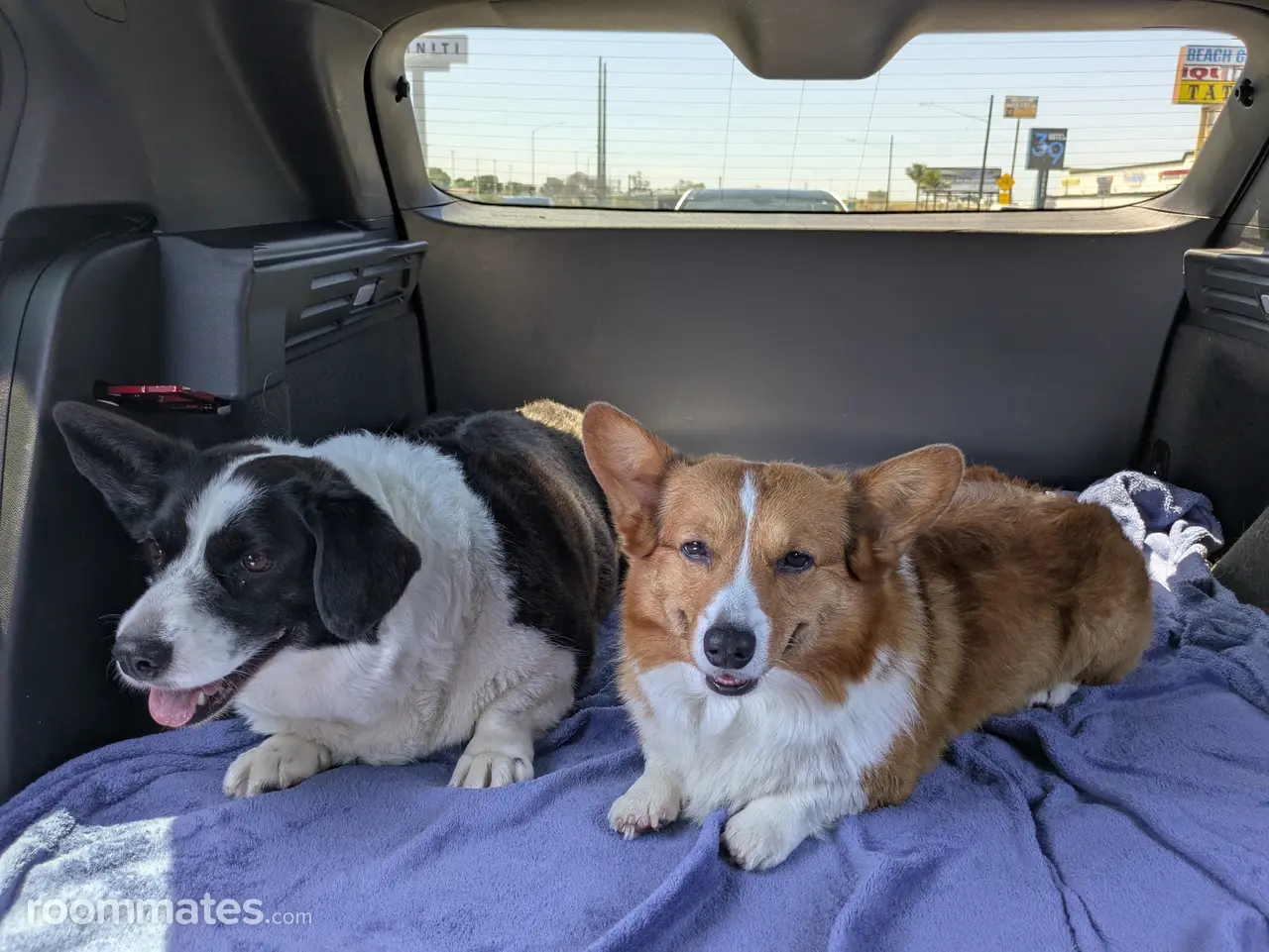 Profile photo 7 of 8