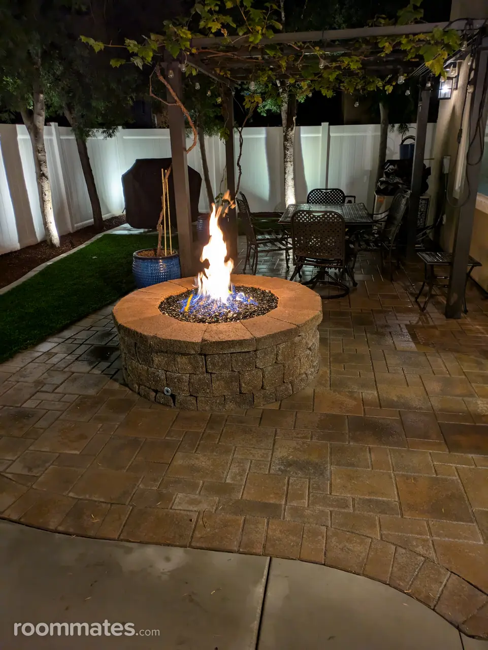 Profile photo 8 of 8