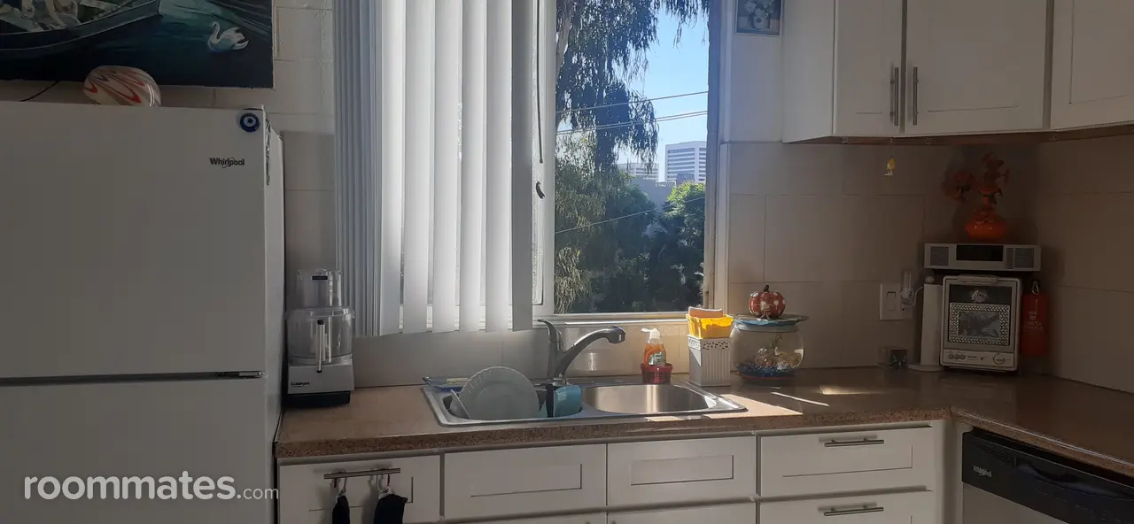 Profile photo 9 of 11