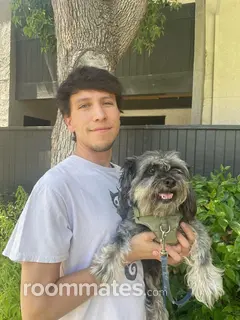 Roommate looking Long Beach, CA, $800