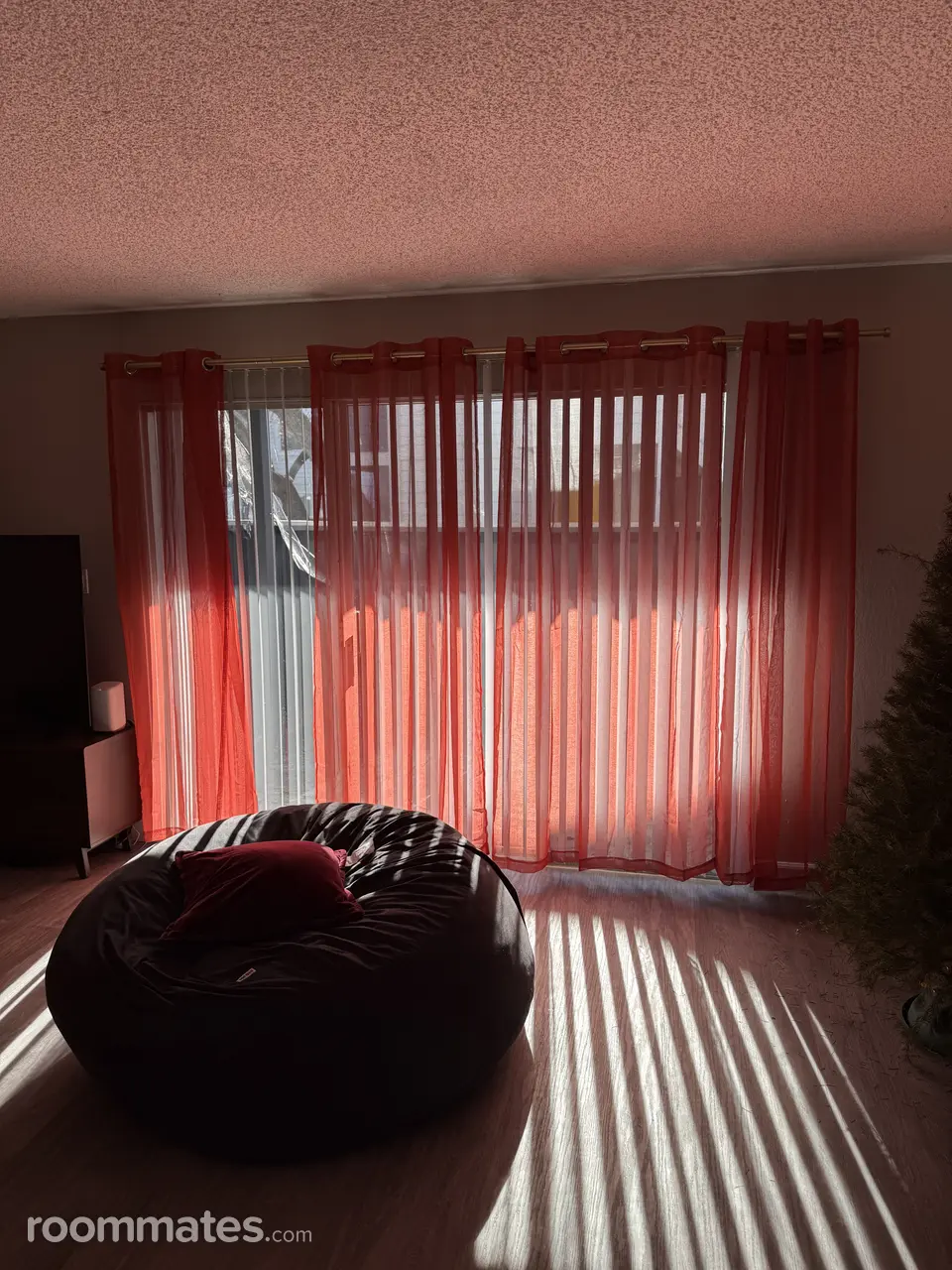 Profile photo 6 of 7