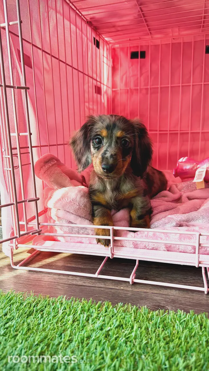 Profile photo 2 of 5