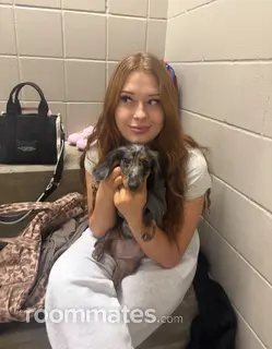 Roommate looking Mckinney, TX, $1000