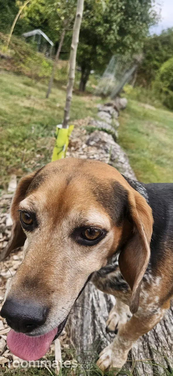 Profile photo 4 of 4