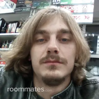 Roommate looking Saint Louis, MO, $600