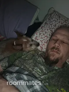 Roommate looking Chattanooga, TN, $1200