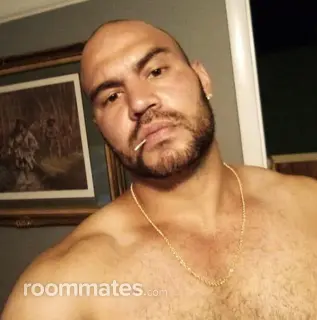 Roommate looking Asheville, NC, $700