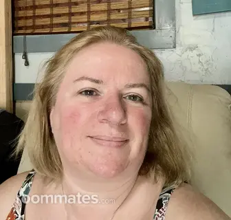 Roommate looking Port Richey, FL, $900