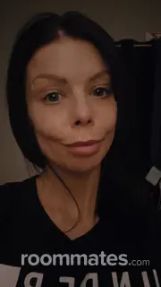 Roommate looking Saint Louis, MO, $500