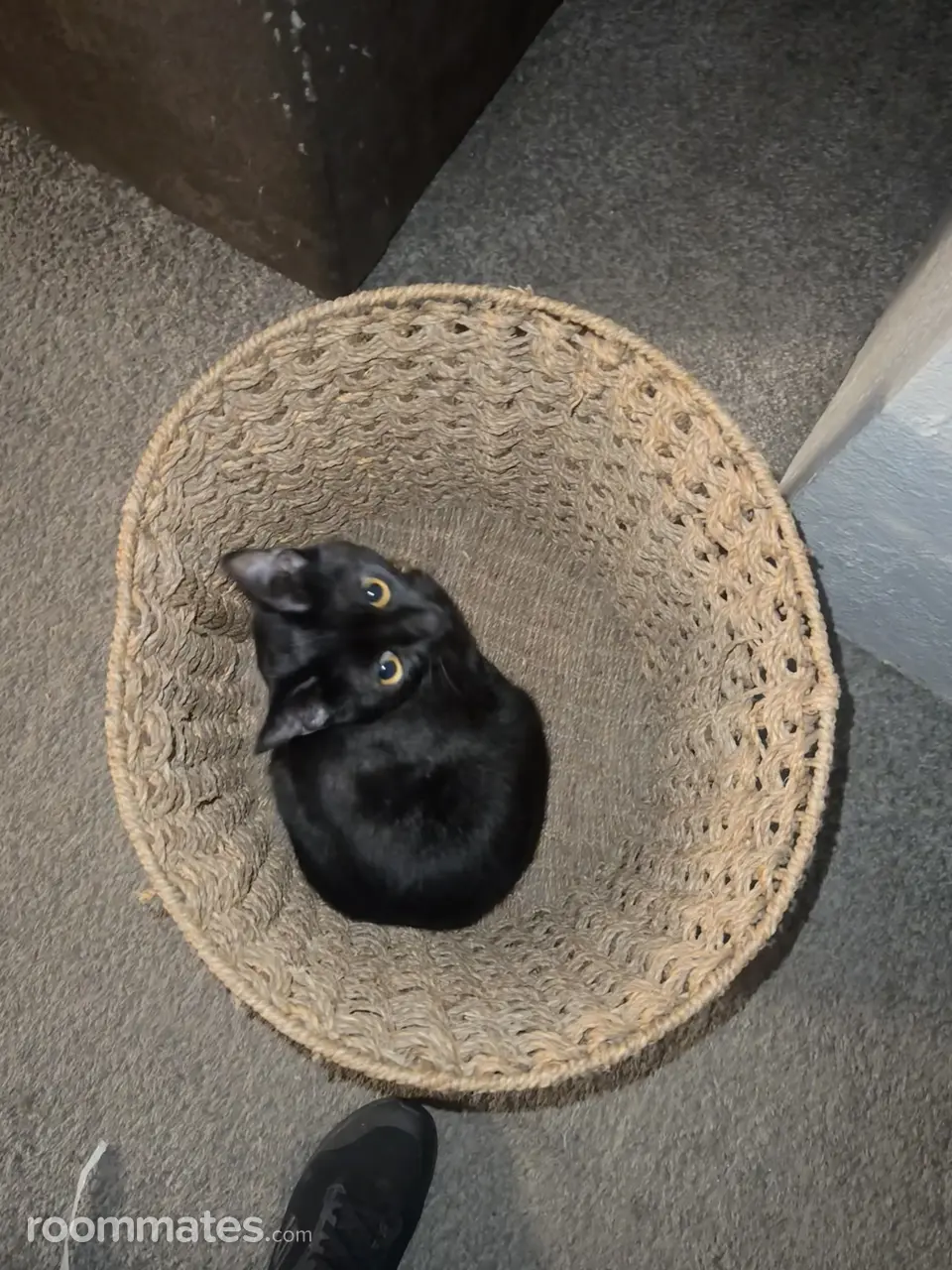 Profile photo 2 of 5