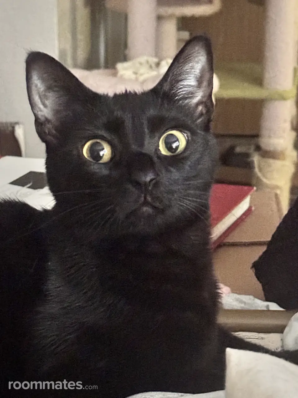 Profile photo 4 of 5