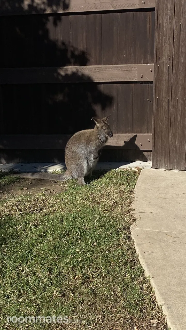 Profile photo 1 of 1