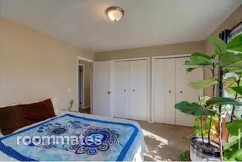 Room for rent in Madison, WI $700, apartment