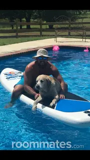 Roommate looking Orlando, FL, $800