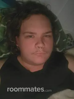 Roommate looking Fletcher, NC, $1300