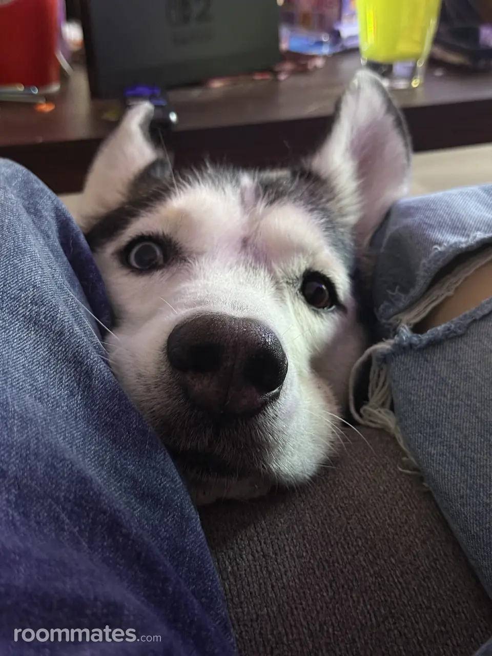 Profile photo 6 of 6