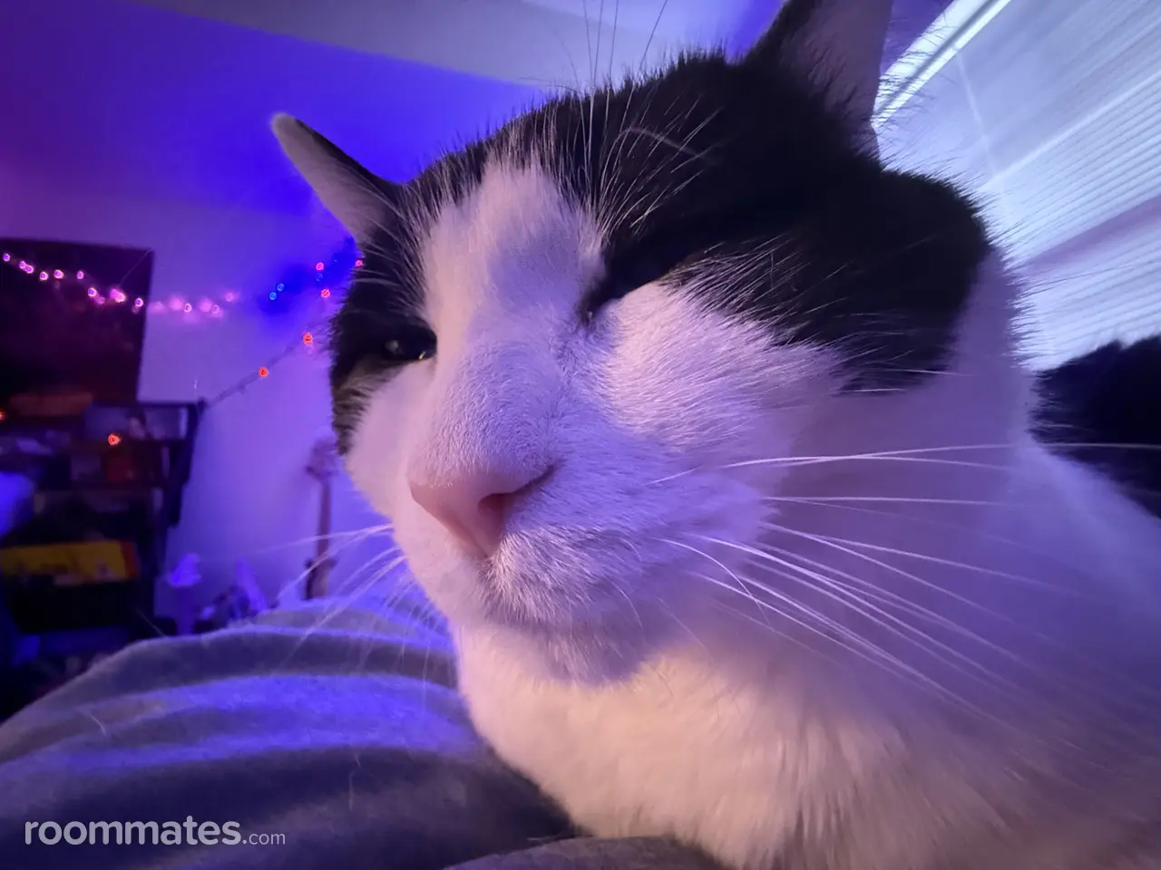 Profile photo 5 of 6