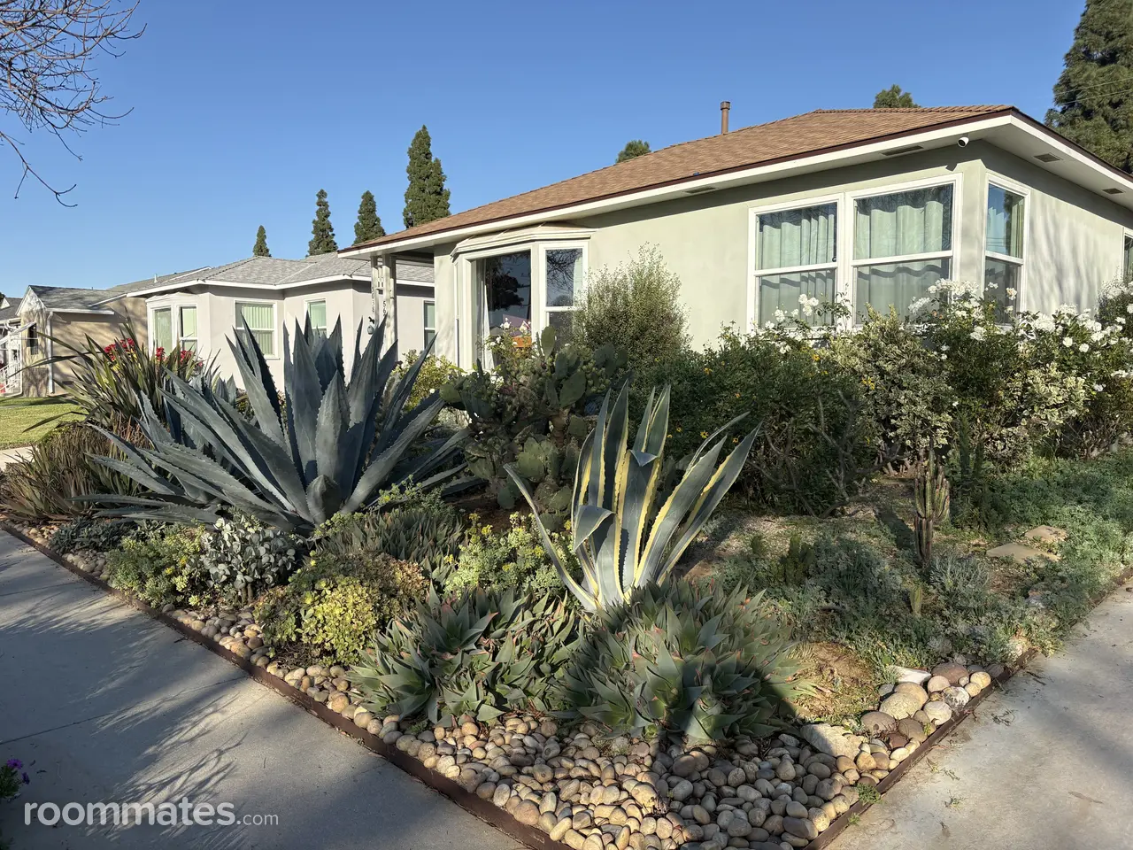 Profile photo 7 of 8