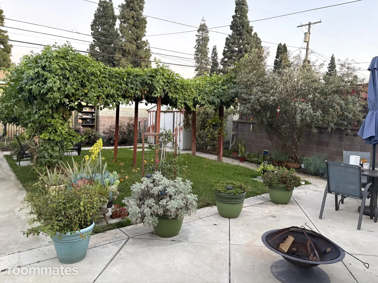 Profile photo 6 of 8