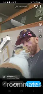 Roommate looking Perrysburg, OH, $600